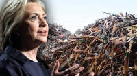 Weapon "shoot" in price immediately after the Clinton victory