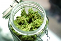 for "recreational marijuana" Poll