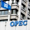 OPEC has breathed life into the oil market
