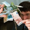 Investors prefer the euro